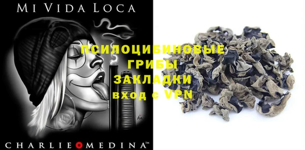 МДПВ Бородино