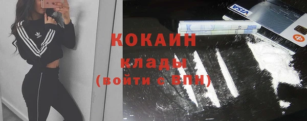МДПВ Бородино