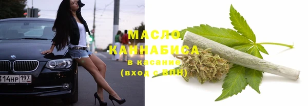 МДПВ Бородино