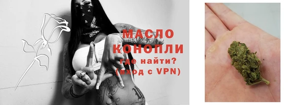 МДПВ Бородино