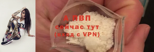 МДПВ Бородино