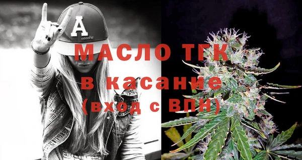 МДПВ Бородино