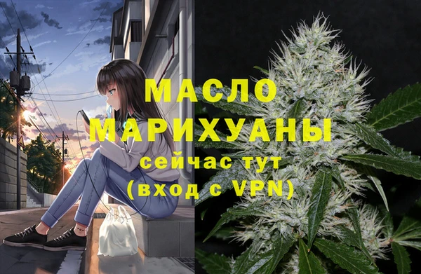 МДПВ Бородино
