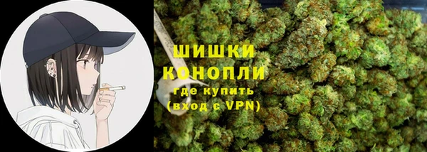 МДПВ Бородино