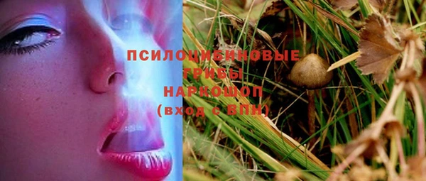 трава Бугульма