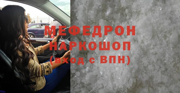 МДПВ Бородино
