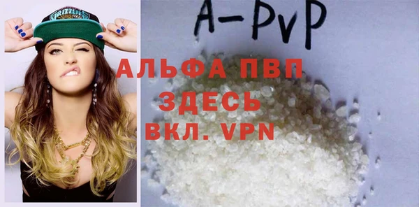 МДПВ Бородино